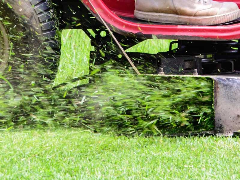 mower blowing grass clippings
